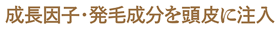 成長因子・発毛成分を頭皮に注入